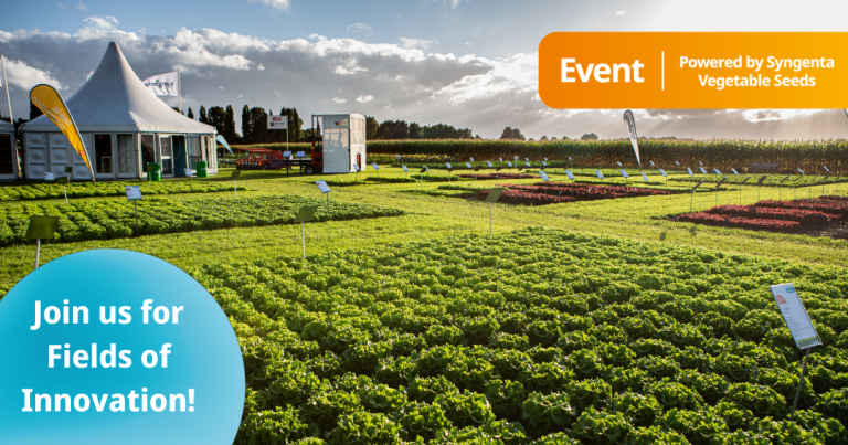 Fields Of Innovation Syngenta Grootebroek