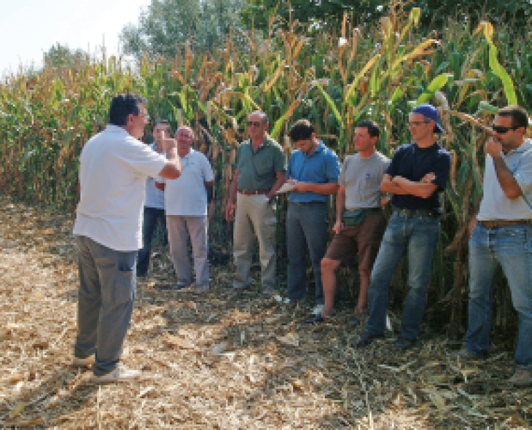 FORMAZIONE_CAMPO_285
