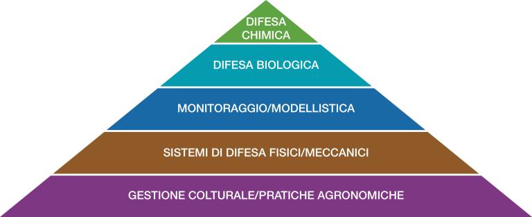 piramide difesa integrata