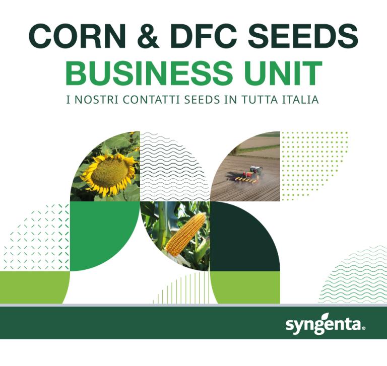 Contatti Seeds
