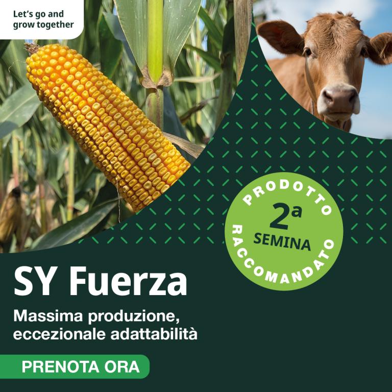 Sy Fuerza