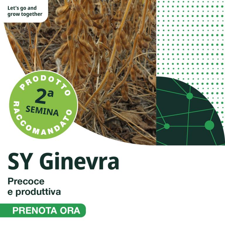 Sy Ginevra