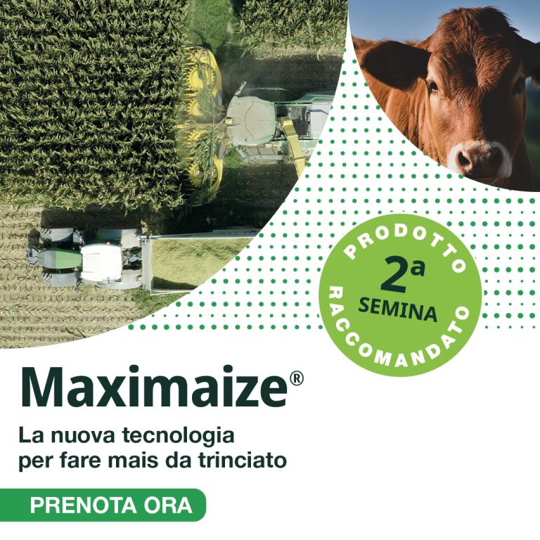 Maximaize