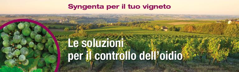 soluzioni syngenta per oidio