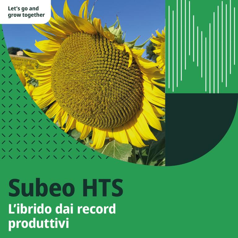 subeo