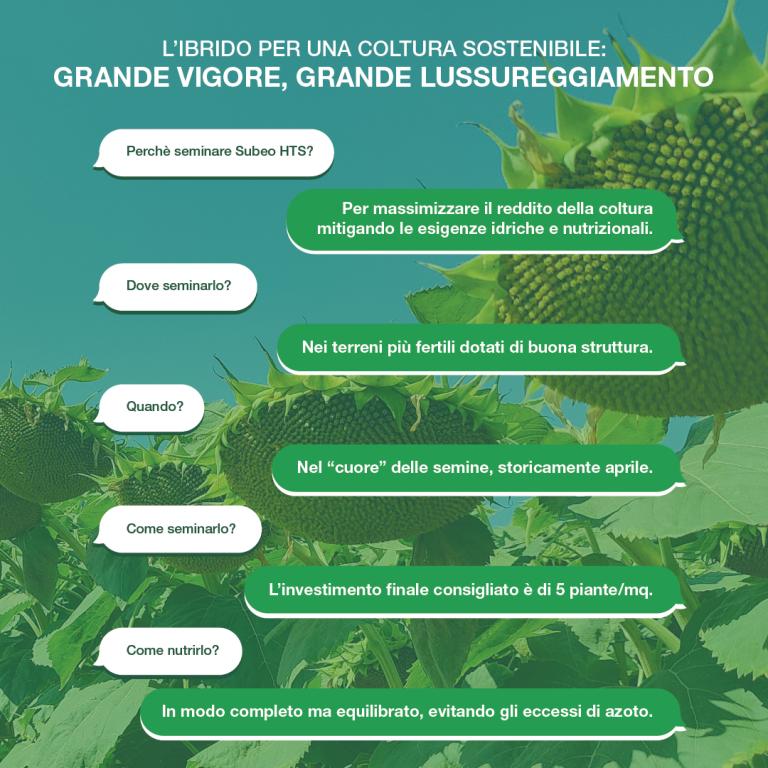 subeo survey