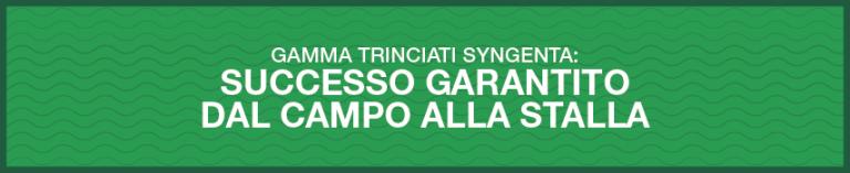 gamma trinciati