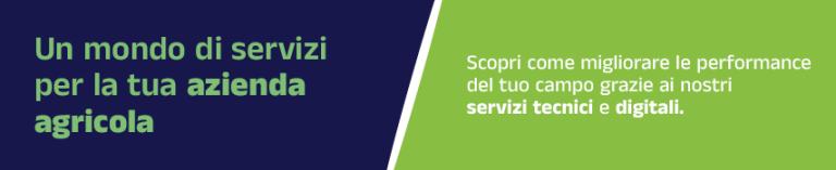 i nostri servizi