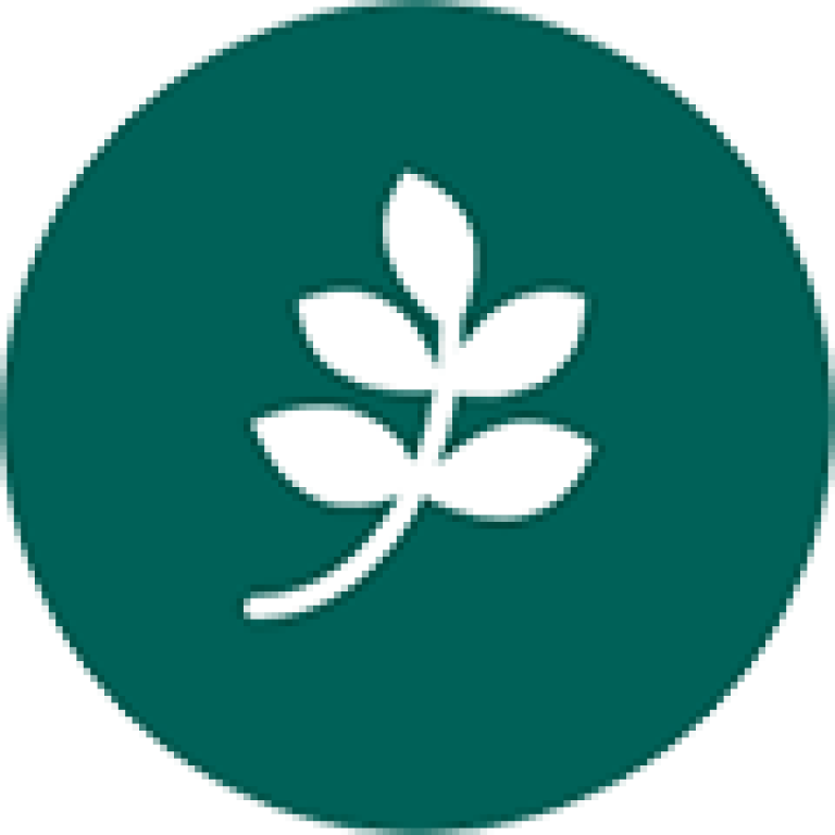 innovazione YieldON