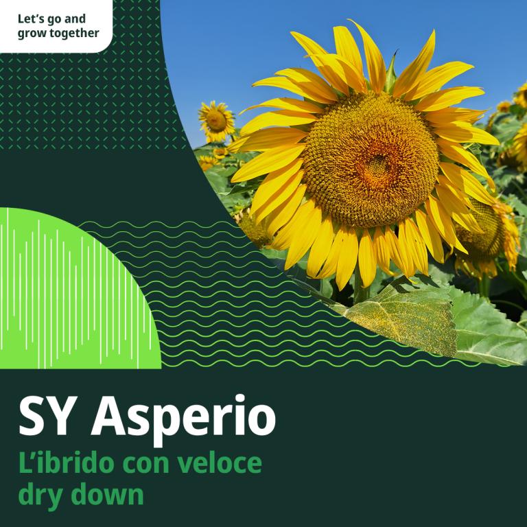 asperio slogan