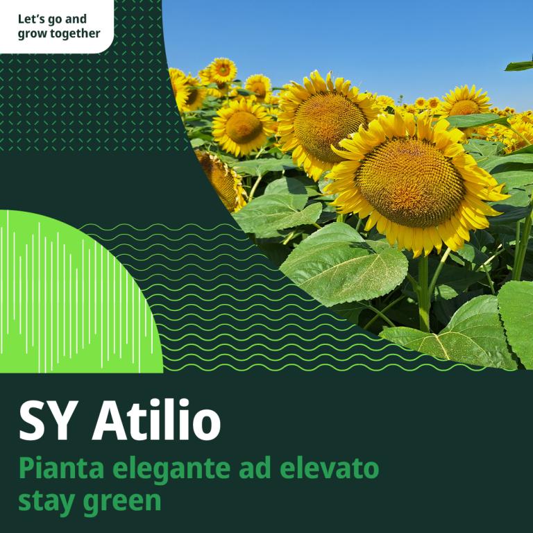atilio slogan