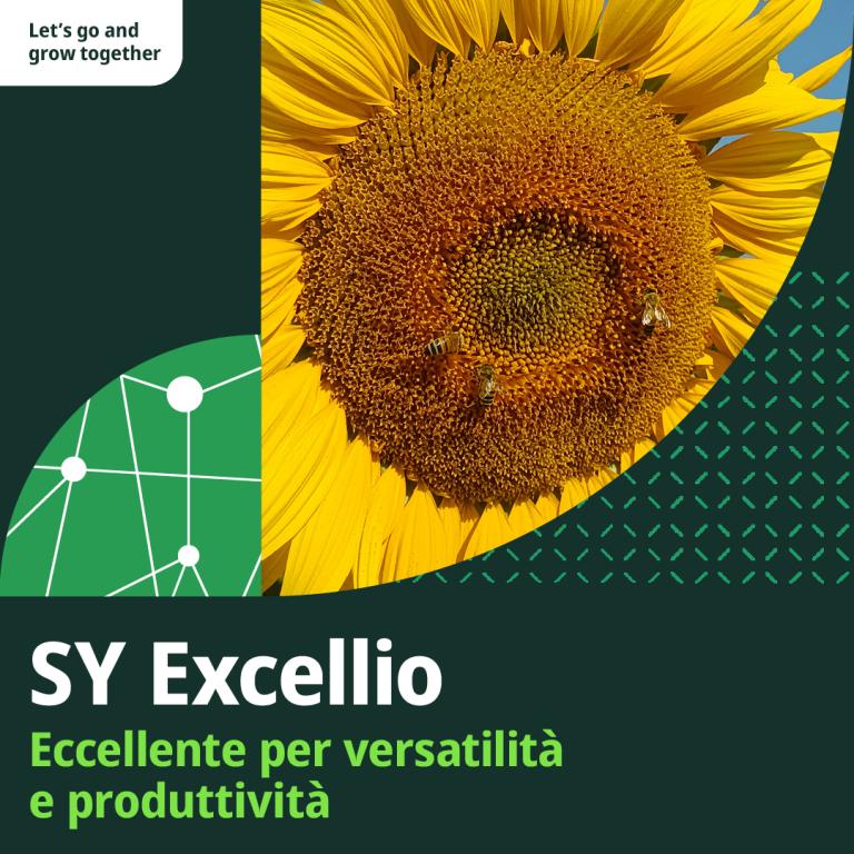 excellio slogan