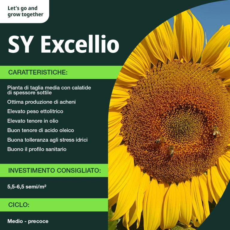 excellio info