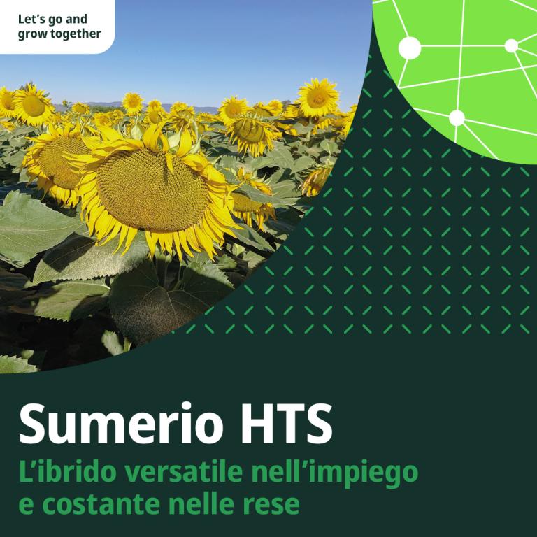 sumerio slogan