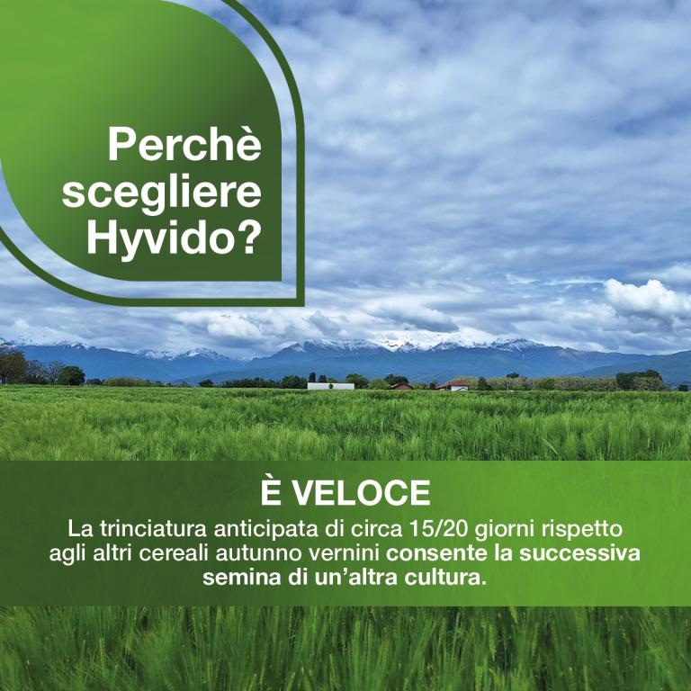 Hyvido è veloce