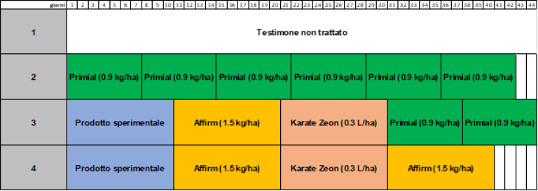Table IPM