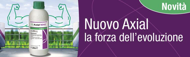 Nuovo Axial - La forza dell'evoluzione