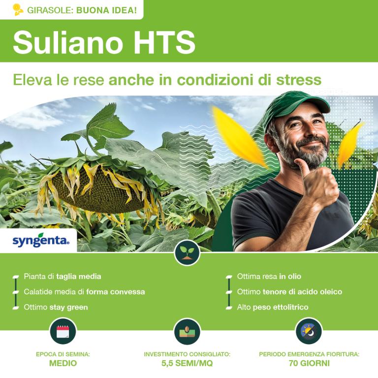 1080x1080_girasole_syngenta3.jpg