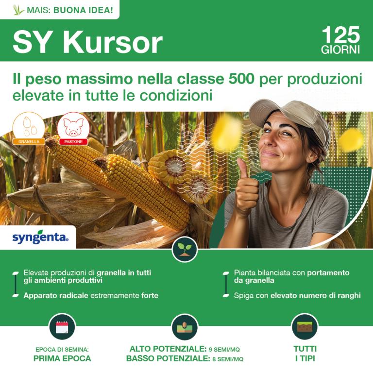 1080x1080_mais_syngenta_kursor.jpg