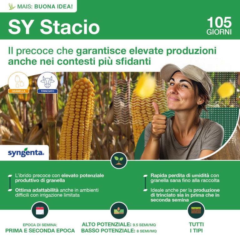 1080x1080_mais_syngenta_stacio.jpg