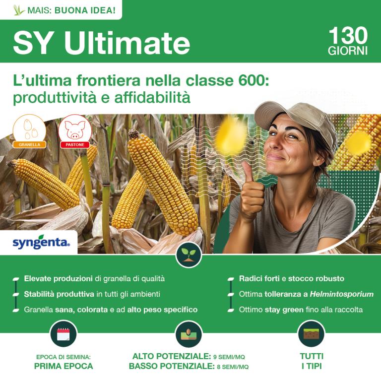 1080x1080_mais_syngenta_ultimate.jpg