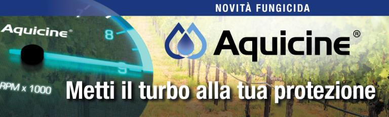 aquicine_landing