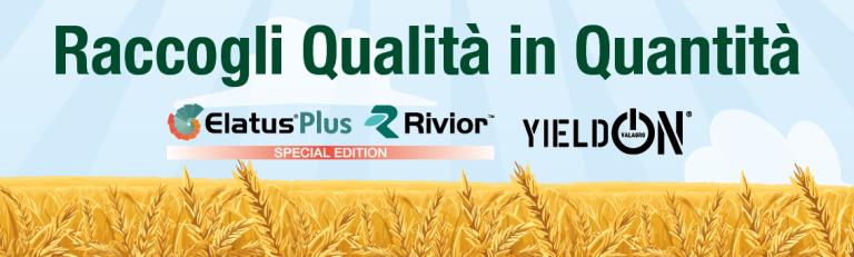 landing_drupal_grano_1132x340_v01.jpg