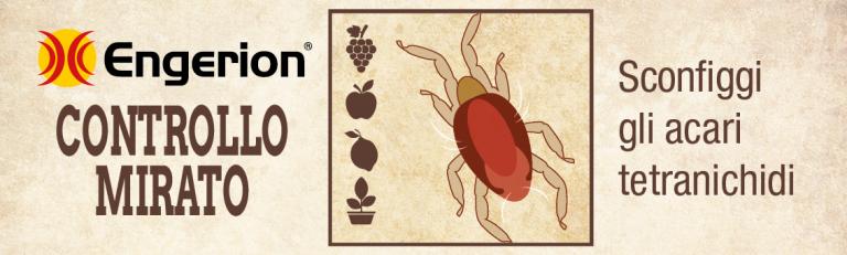 new_banner_engerion