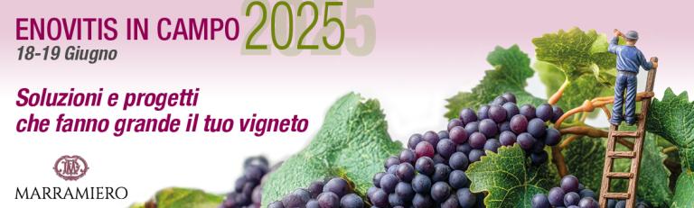 Enovitis_2025