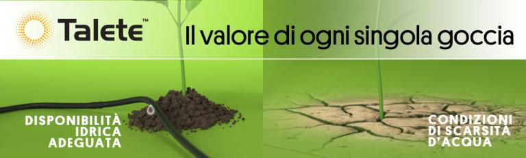 Talete_Syngenta