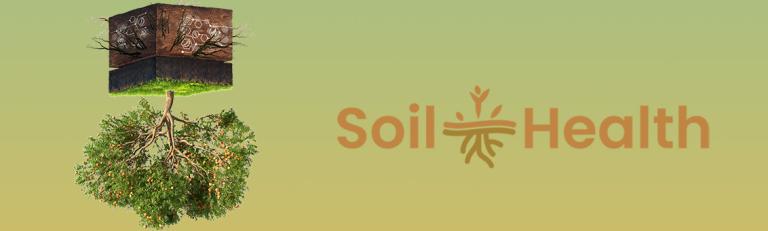 Soil Health - Salute del suolo