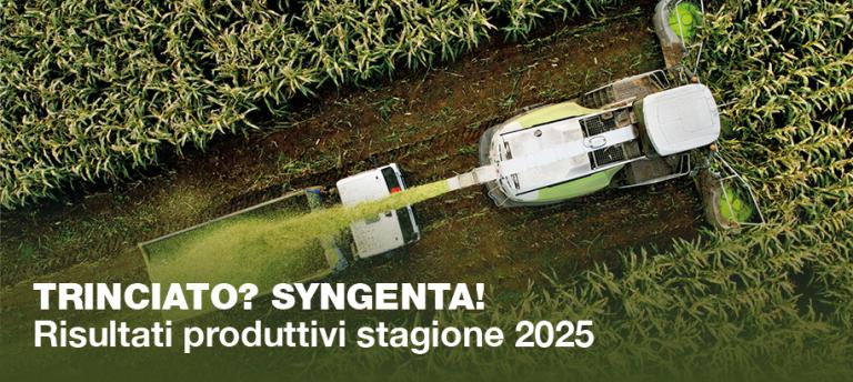 RIsultati produttivi prodotti da trinciato syngenta