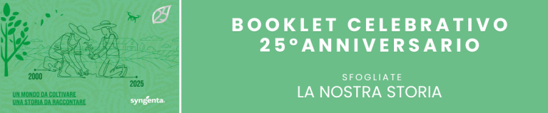 banner booklet 25