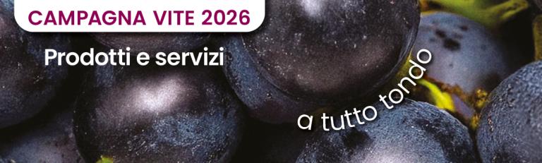 campagna_vite26_