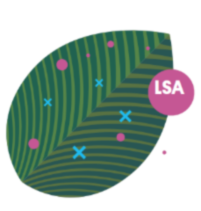 molecola lsa