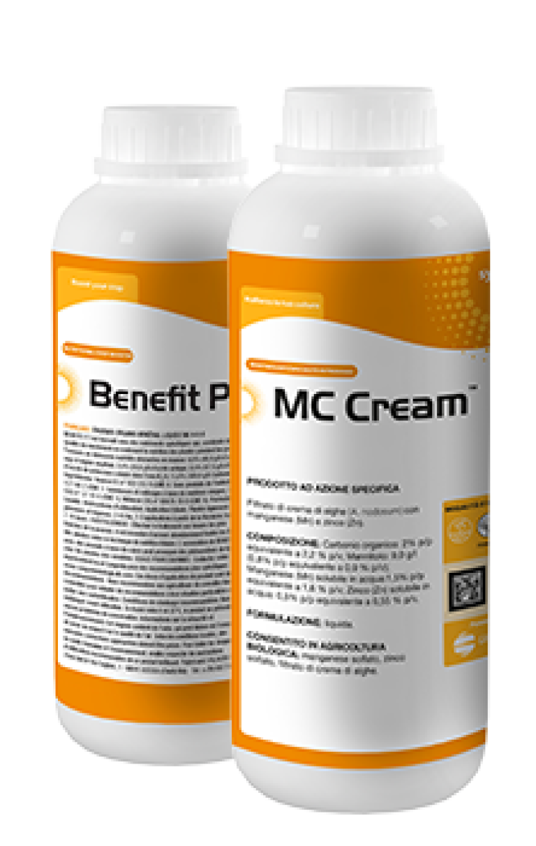 MC Cream e Benefit PZ