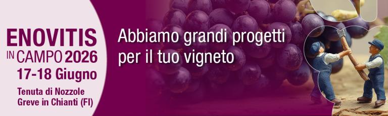 immagine di testa enovitis 2026