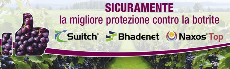gamma antibotritici vite 2026