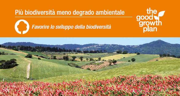 oPERATION+pOLLINATOR+BARRA