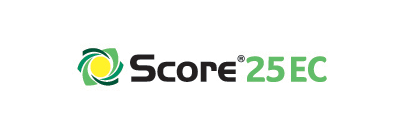 400x135 score 25ec logo