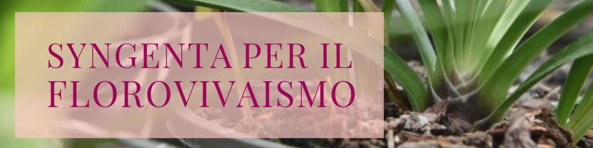 blog banner it