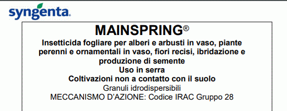 mainspring label example