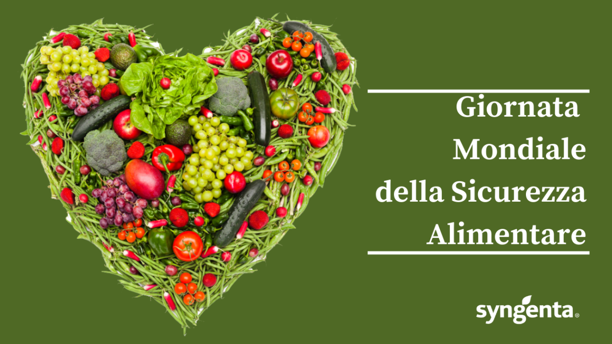giornata sic alimentare def 1