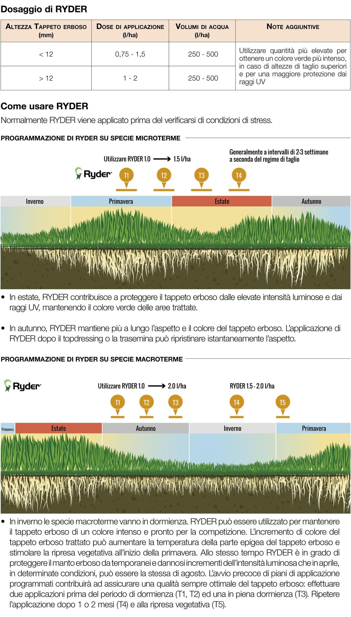 ryder grafici applicazione