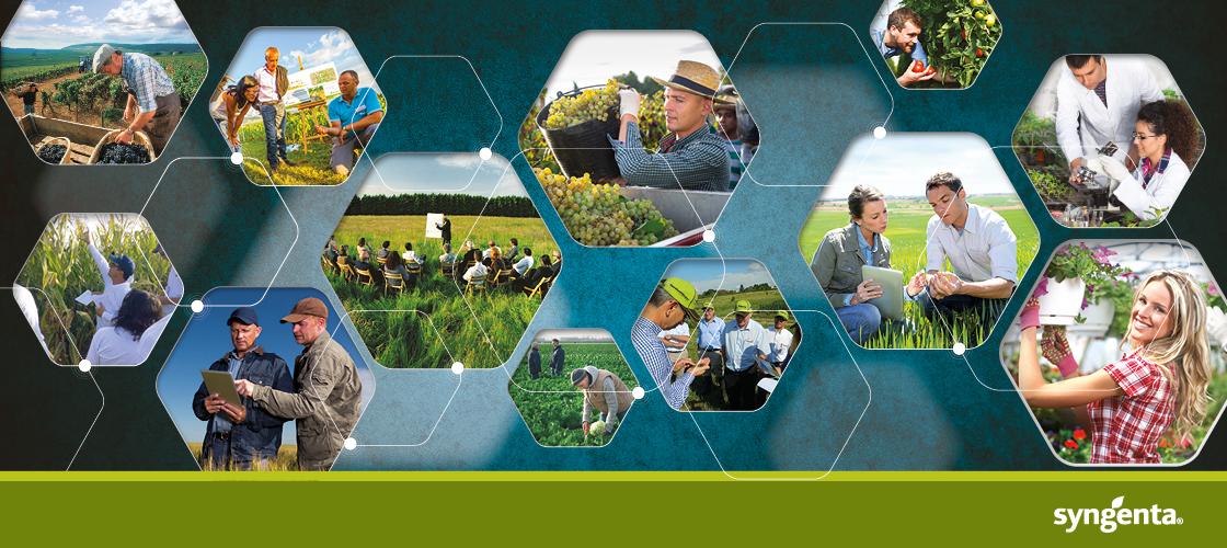 imm sito syngenta 1120x500 v02