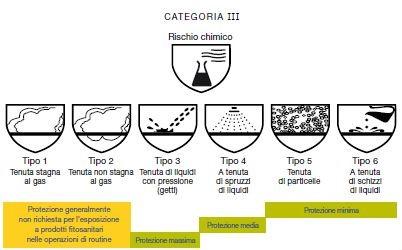 foto 1 diagramma