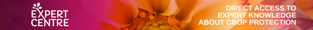 expert centre banner