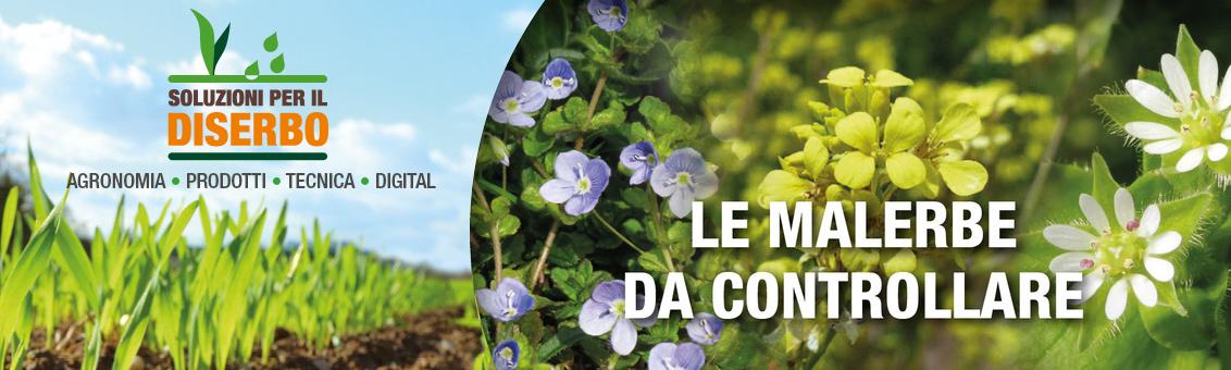 Soluzioni per diserbo malerbe