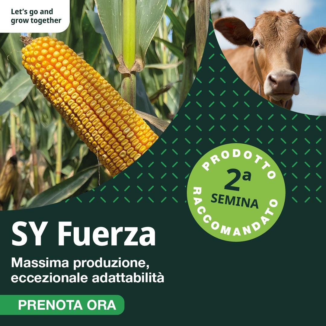 Sy Fuerza