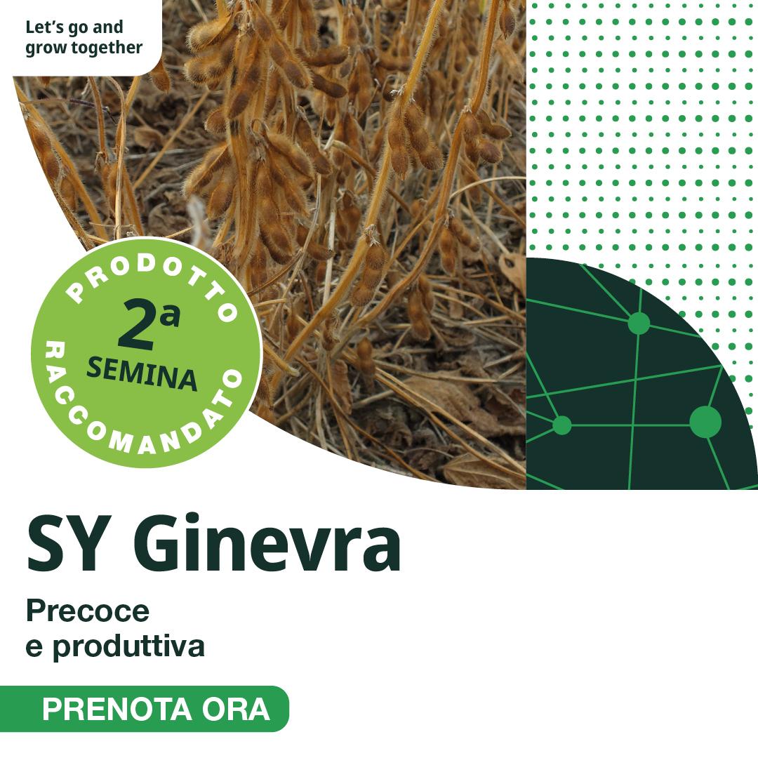 Sy Ginevra